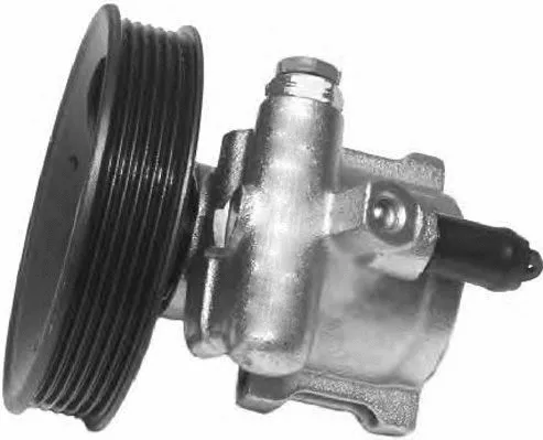 Hydraulic Pump, steering (PI0116)