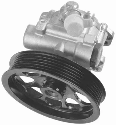 Hydraulic Pump, steering (PI1100)