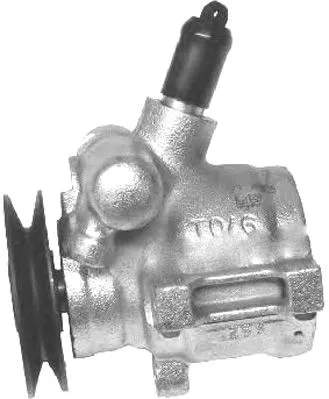 Hydraulic Pump, steering (PI0123)