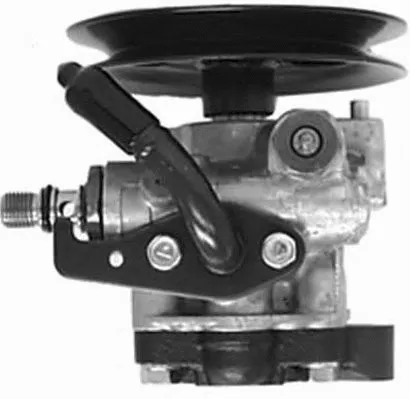 Hydraulic Pump, steering (PI0395)