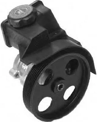 Hydraulic Pump, steering (PI0262)