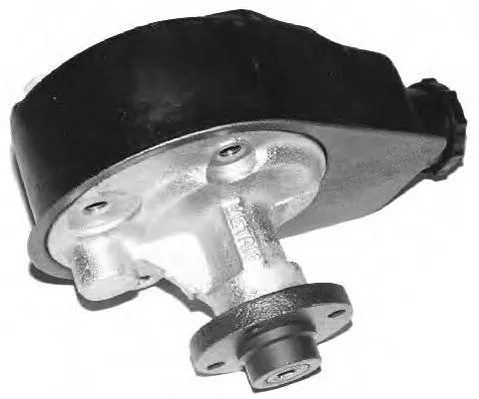 Hydraulic Pump, steering (PI0350)