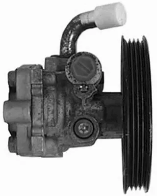 Hydraulic Pump, steering (PI0367)