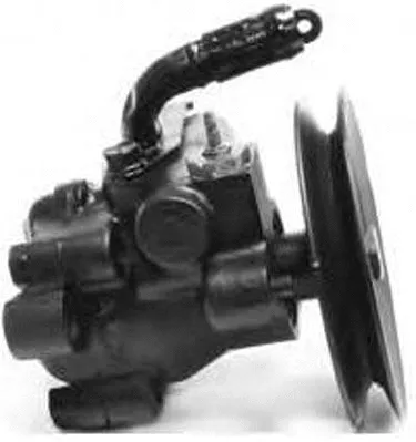 Hydraulic Pump, steering (PI1195)
