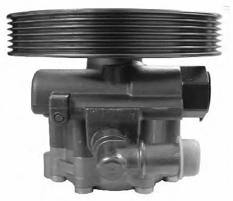 Hydraulic Pump, steering (PI0783)