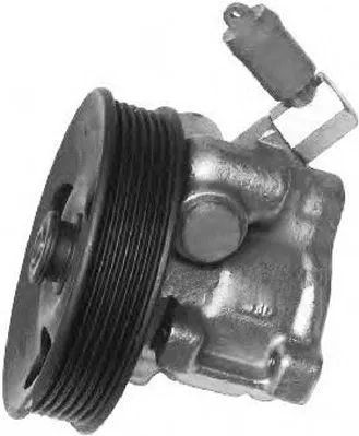 Hydraulic Pump, steering (PI0110)