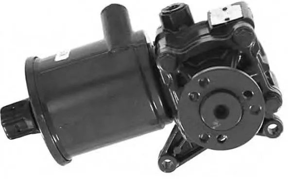 Hydraulic Pump, steering (PI0331)