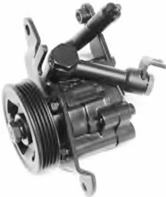 Hydraulic Pump, steering (PI1295)