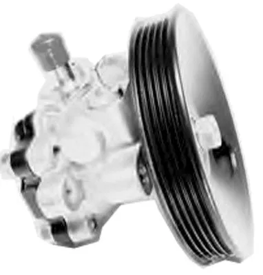 Hydraulic Pump, steering (PI1258)