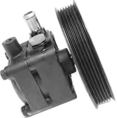 Hydraulic Pump, steering (PI1321)