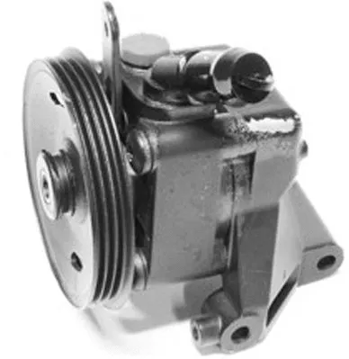 Hydraulic Pump, steering (PI1000)
