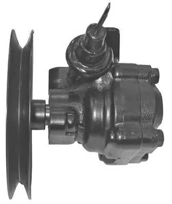 Hydraulic Pump, steering (PI1164)
