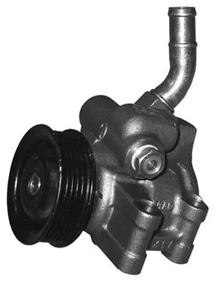 Hydraulic Pump, steering (PI1109)