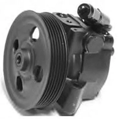 Hydraulic Pump, steering (PI1238)
