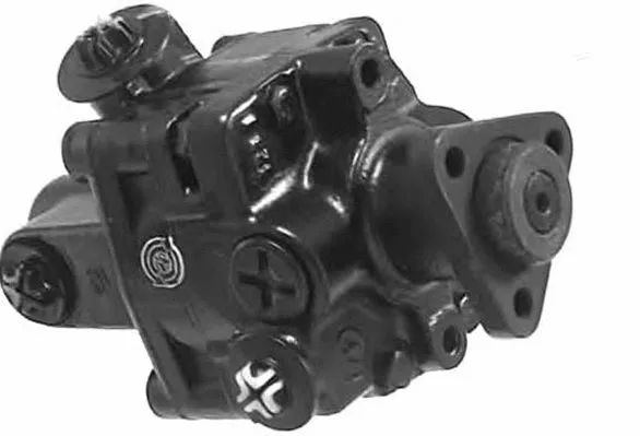 Hydraulic Pump, steering (PI0455)
