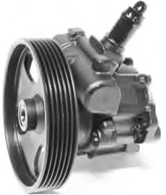 Hydraulic Pump, steering (PI1217)
