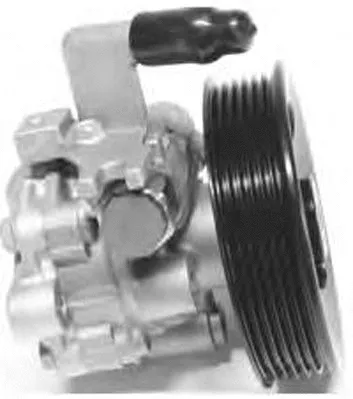 Hydraulic Pump, steering (PI1176)