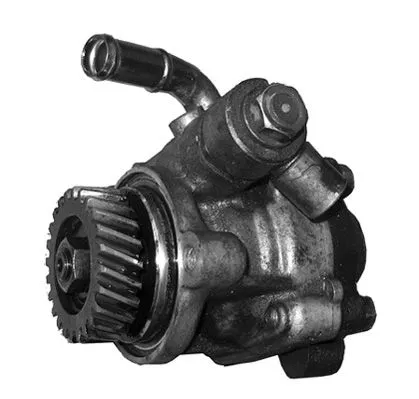 Hydraulic Pump, steering (PI1160)