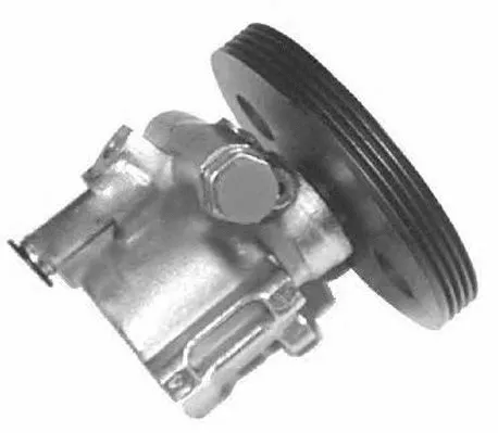 Hydraulic Pump, steering (PI0484)
