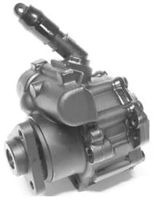 Hydraulic Pump, steering (PI1020)