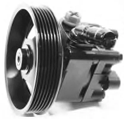 Hydraulic Pump, steering (PI1081)