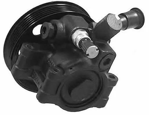 Hydraulic Pump, steering (PI0319)