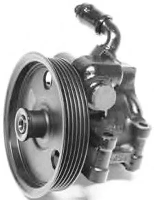 Hydraulic Pump, steering (PI1196)