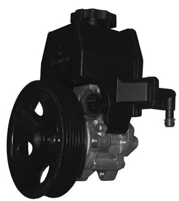 Hydraulic Pump, steering (PI0839)