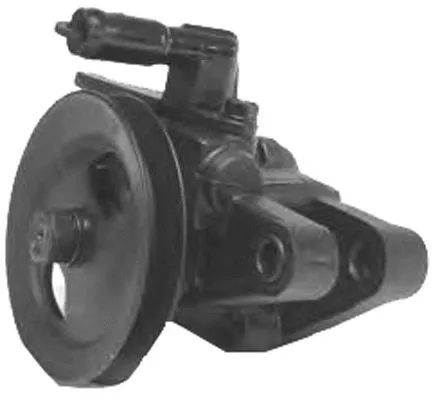 Hydraulic Pump, steering (PI1178)