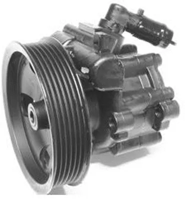 Hydraulic Pump, steering (PI1002)