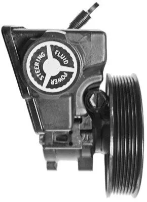 Hydraulic Pump, steering (PI0741)