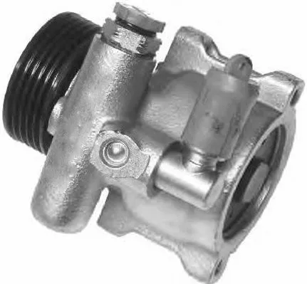 Hydraulic Pump, steering (PI0102)