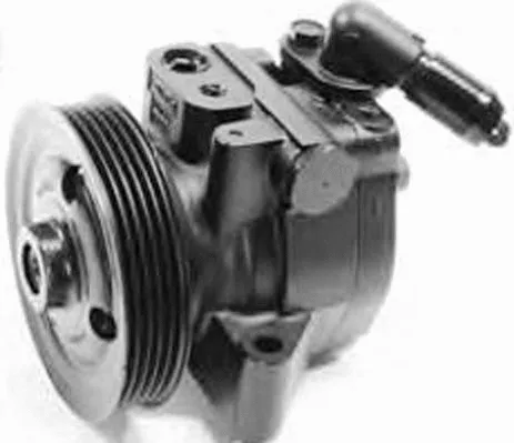 Hydraulic Pump, steering (PI1239)