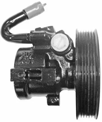 Hydraulic Pump, steering (PI1233)