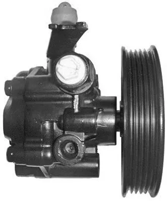Hydraulic Pump, steering (PI1042)