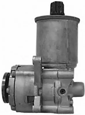 Hydraulic Pump, steering (PI0822)
