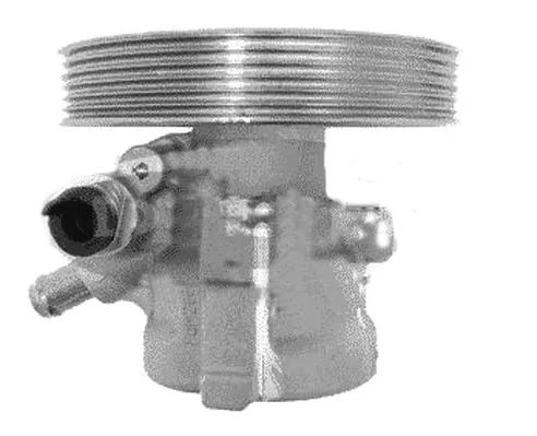 Hydraulic Pump, steering (PI1145)