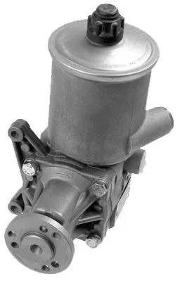 Hydraulic Pump, steering (PI0824)