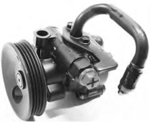 Hydraulic Pump, steering (PI1187)
