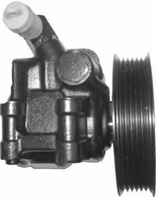 Hydraulic Pump, steering (PI0202)