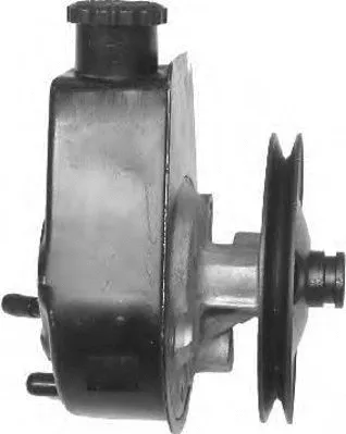 Hydraulic Pump, steering (PI0218)