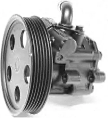 Hydraulic Pump, steering (PI1219)