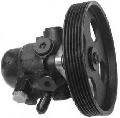 Hydraulic Pump, steering (PI0142)