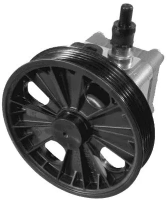 Hydraulic Pump, steering (PI1226)