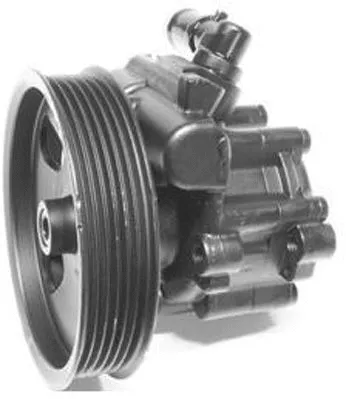 Hydraulic Pump, steering (PI1001)