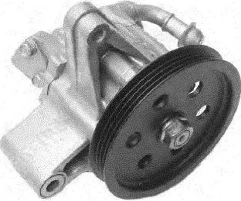 Hydraulic Pump, steering (PI0219)