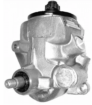 Hydraulic Pump, steering (PI0396)