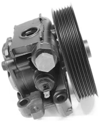 Hydraulic Pump, steering (PI1273)