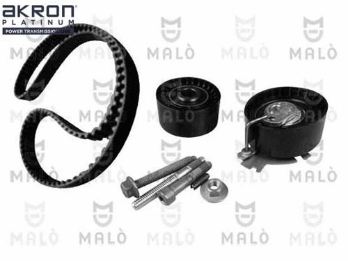 Timing Belt Kit (1551028)