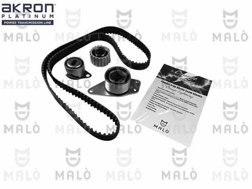Timing Belt Kit (1551046)